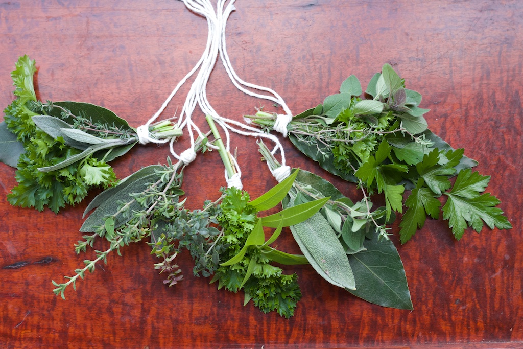 Bunches of herbs